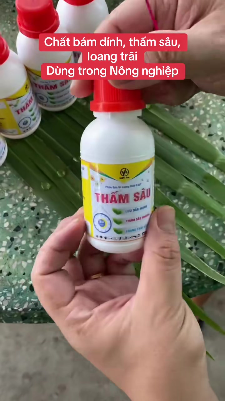 @VTNN Trung Hiếu 1