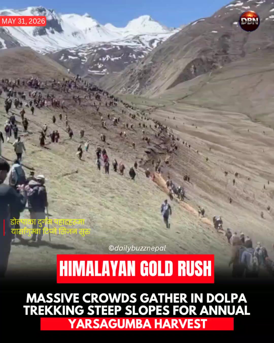 @Dailybuzznepal 🇳🇵