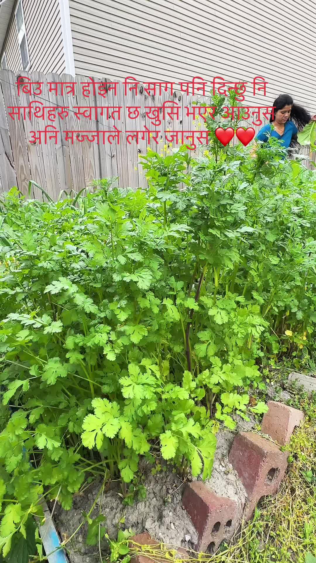 @Dipa Thapa chhetri