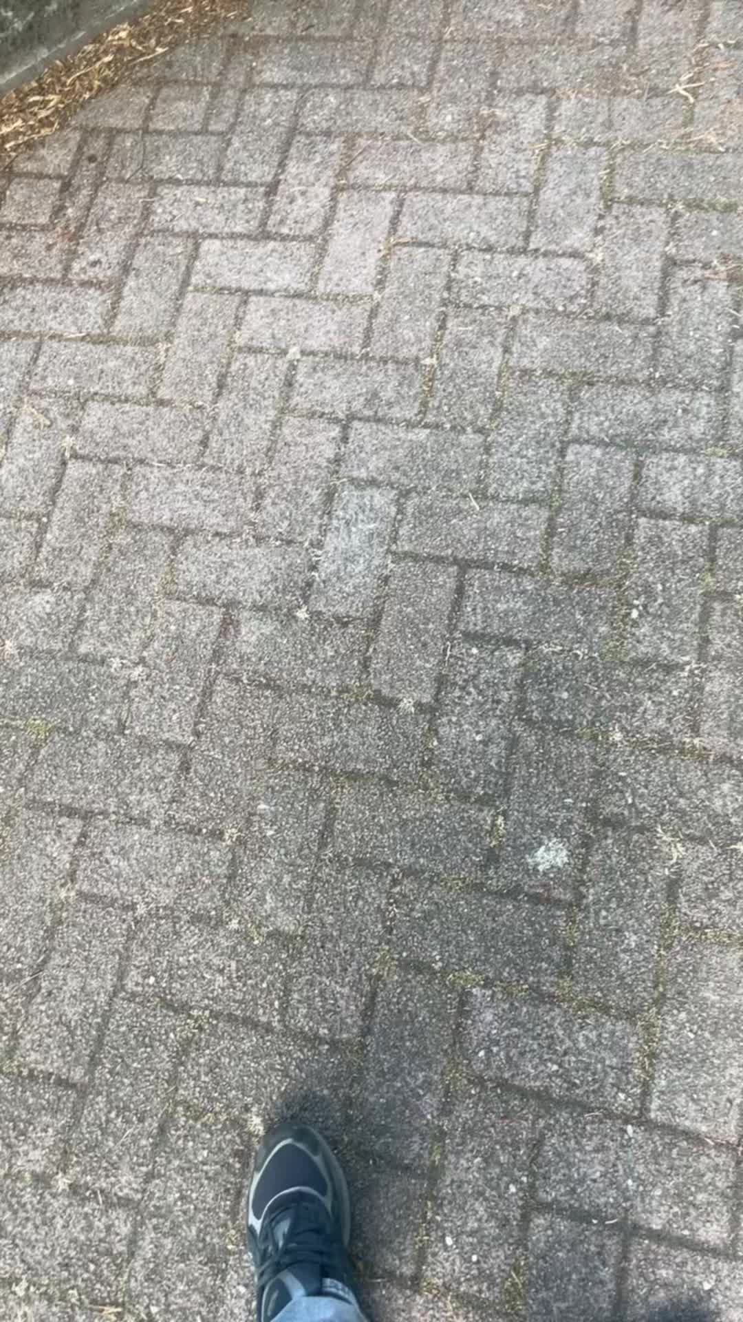 @d0318vr