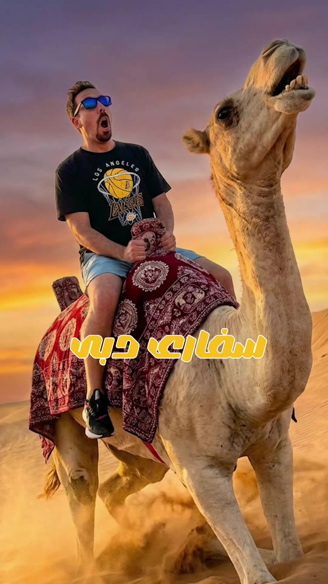 @Mohamed Shafik