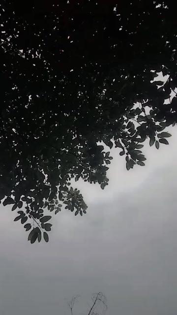 @💫✨بھیاااا لاشاری ✨☠️