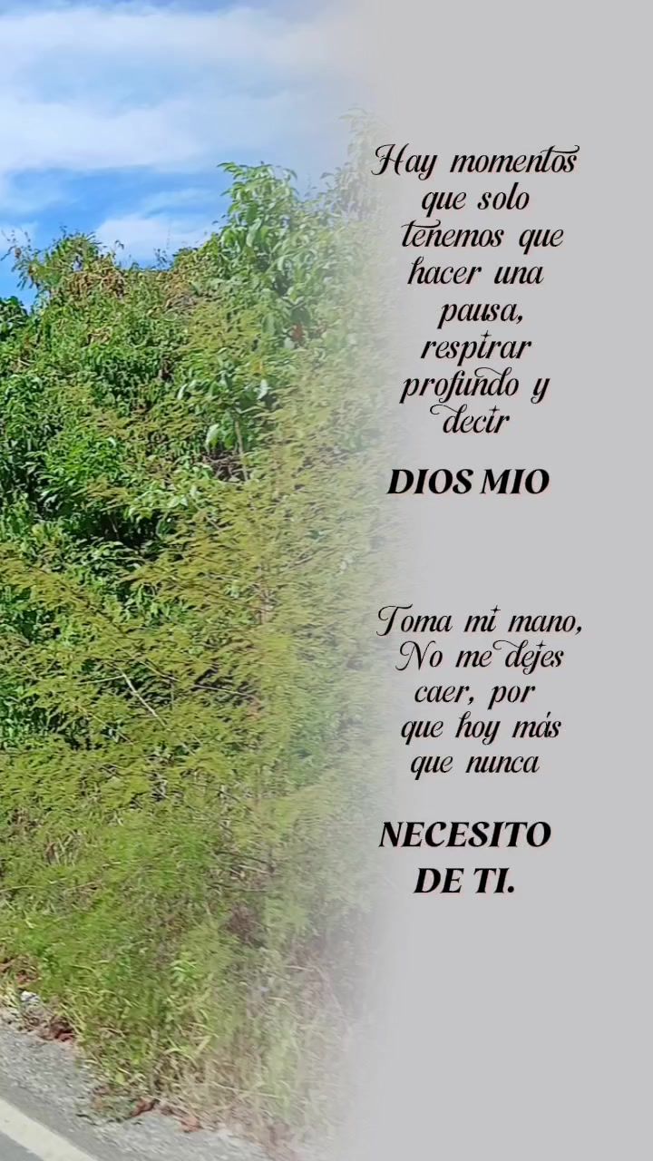 @💫Mi❤️🍀