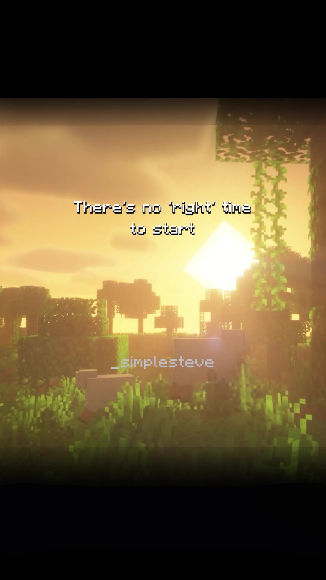 @_simplesteve