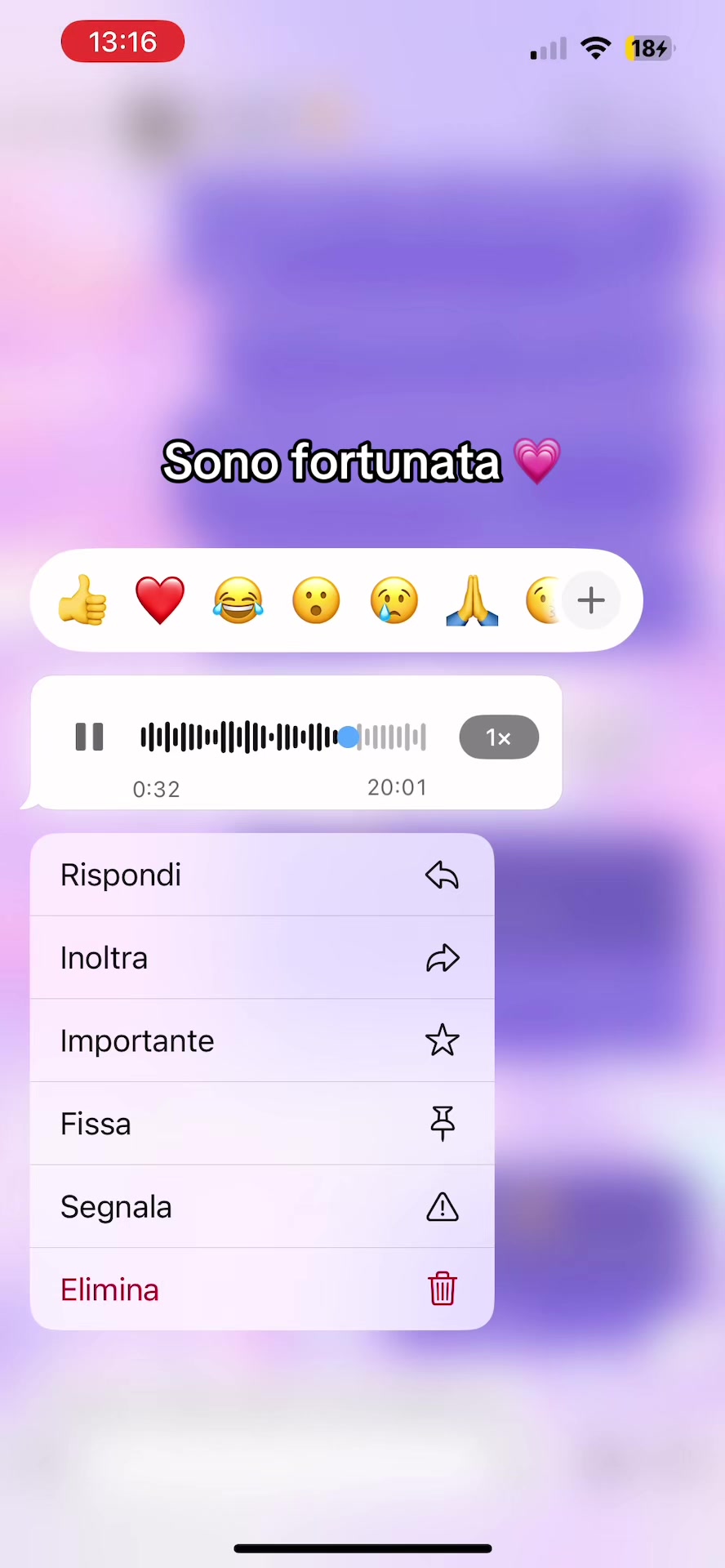@Alessia Rapillo