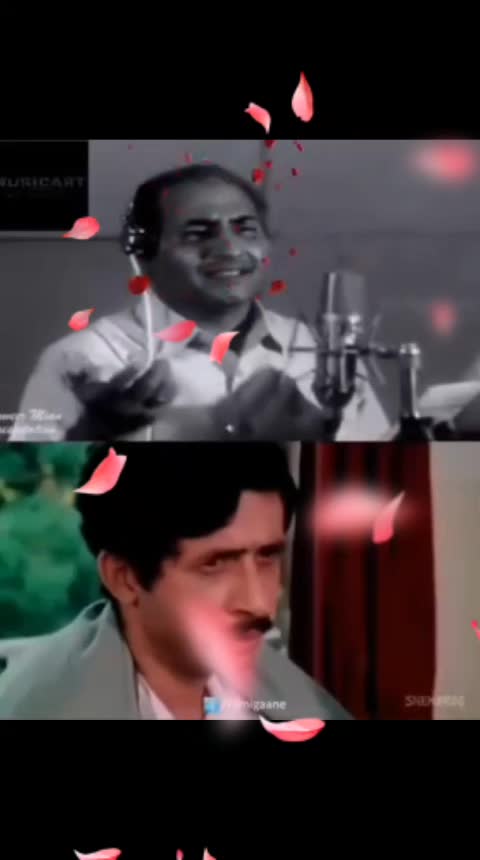 @n.m