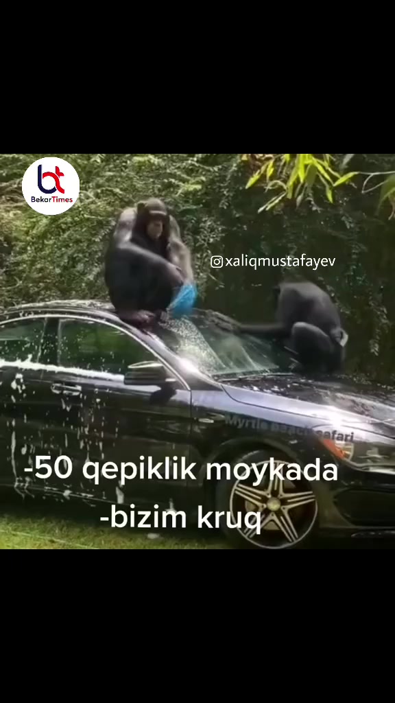 @🗿🗿🗿