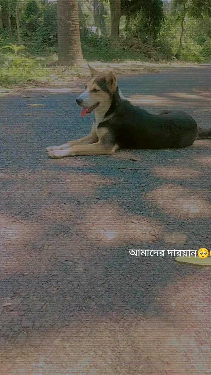 @Queen somu🥰