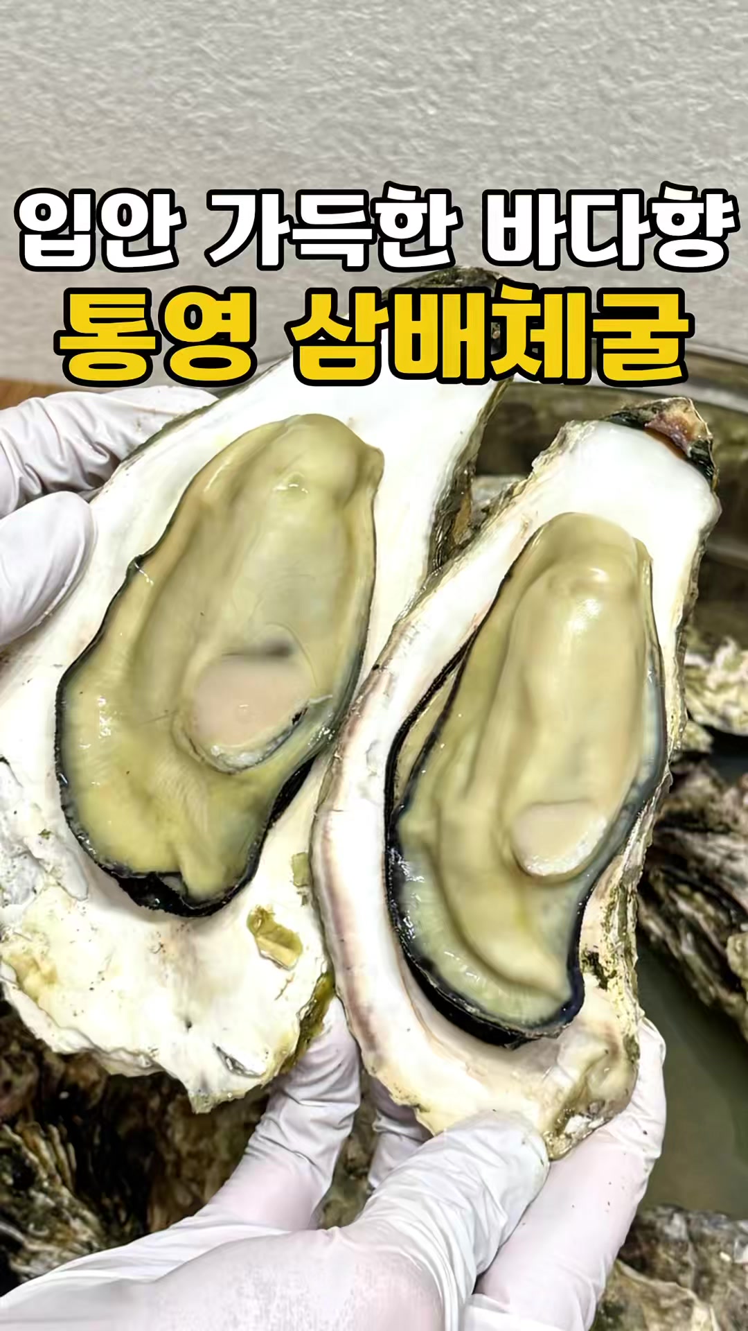 @싱싱햇 - 365일 싱싱한 햇 제철 먹거리
