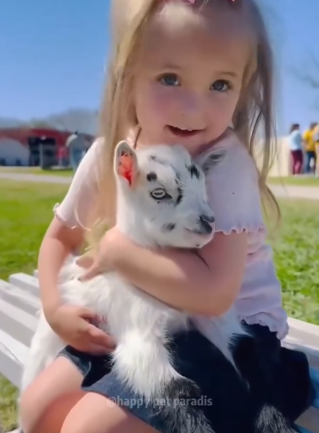 @animalsquad