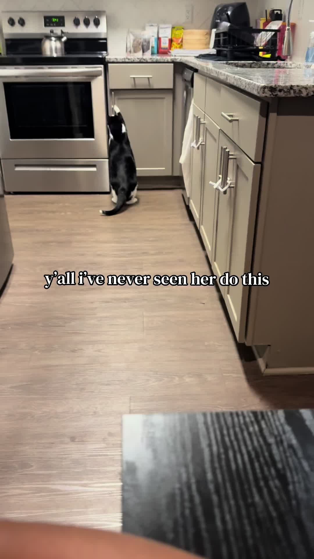 @𝐀𝐮𝐠𝐮𝐬𝐭