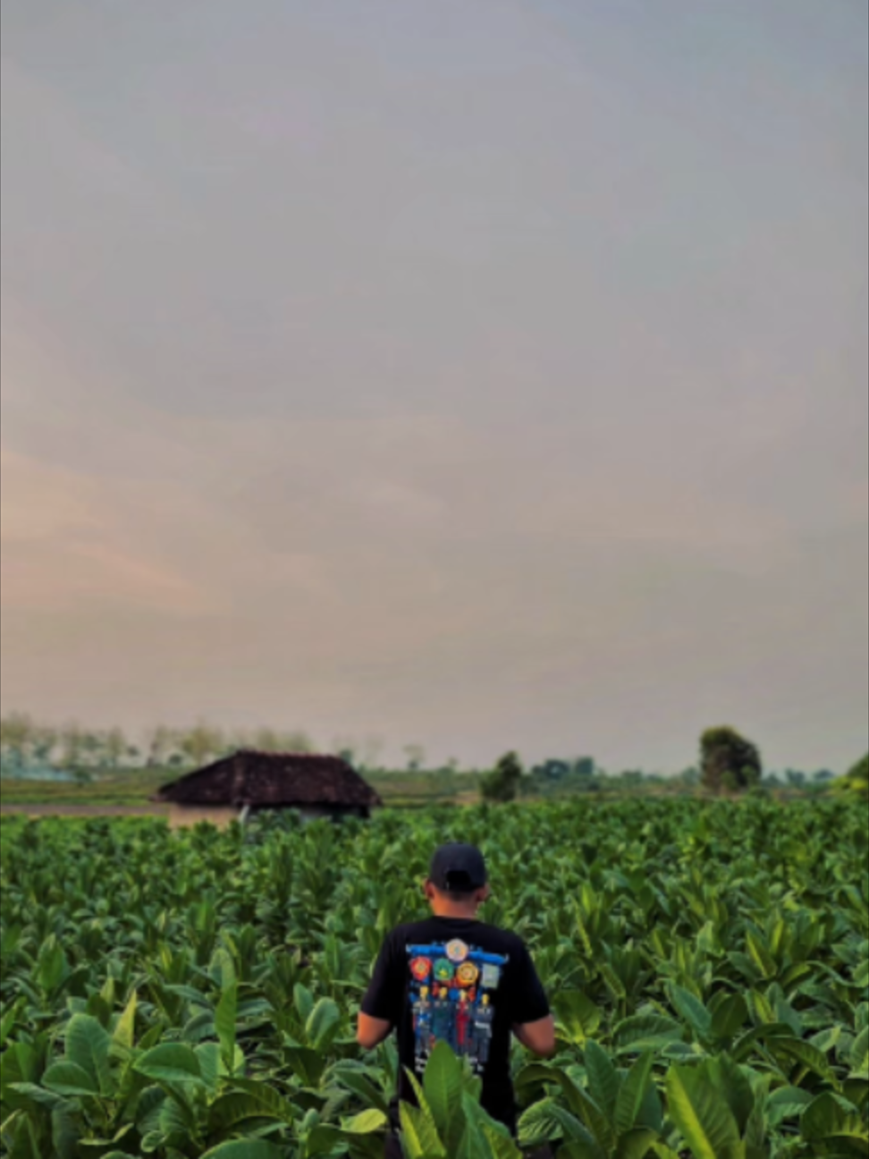 @𝐔𝐃 𝐏𝐀𝐑𝐍𝐈 𝐏𝐎𝐋𝐎𝐖𝐈𝐉𝐎