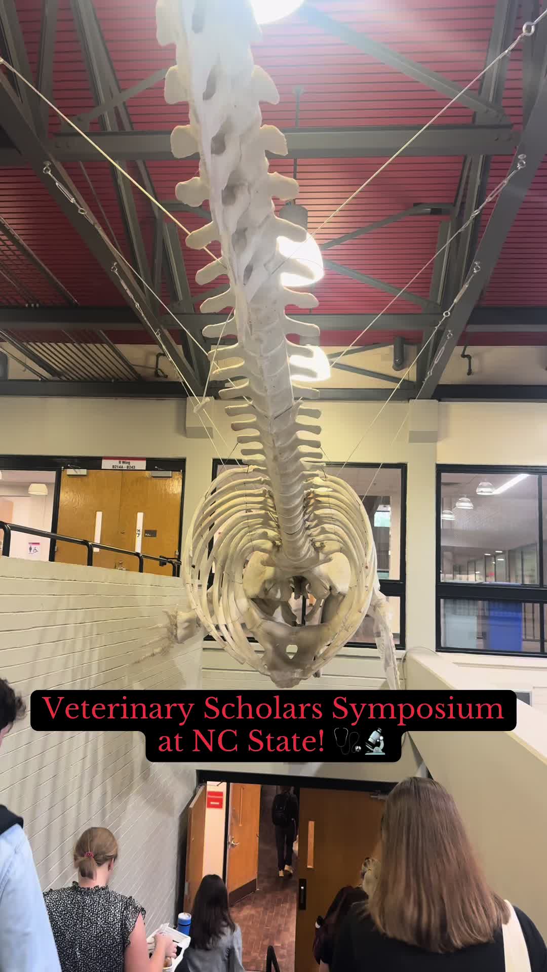 @Brandon | Vet Student 🩺