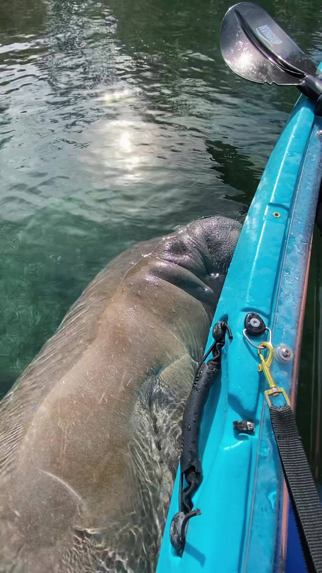 @Wet Rabbit Kayaks