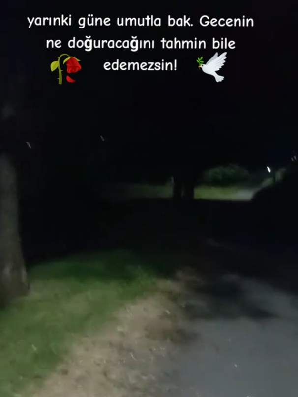 @dijle34