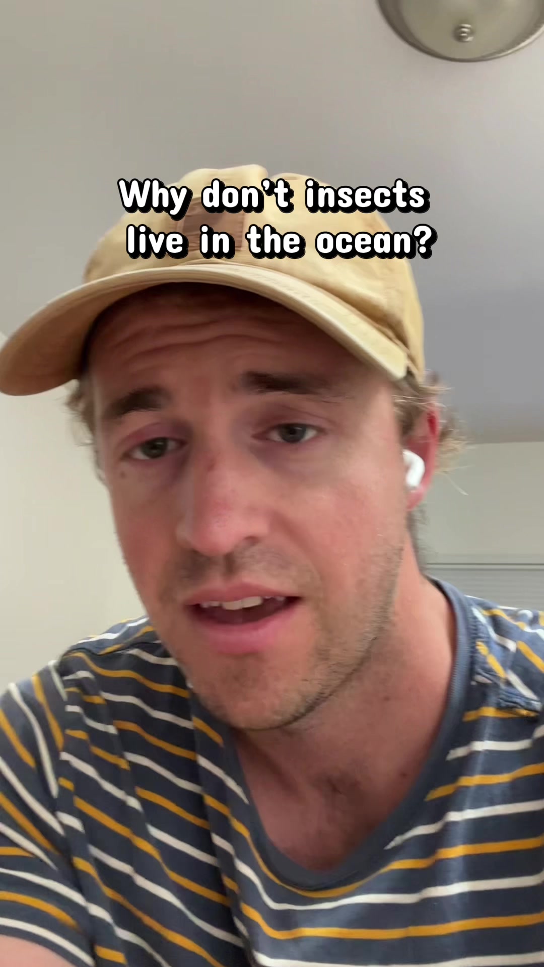 @Nature is Surreal