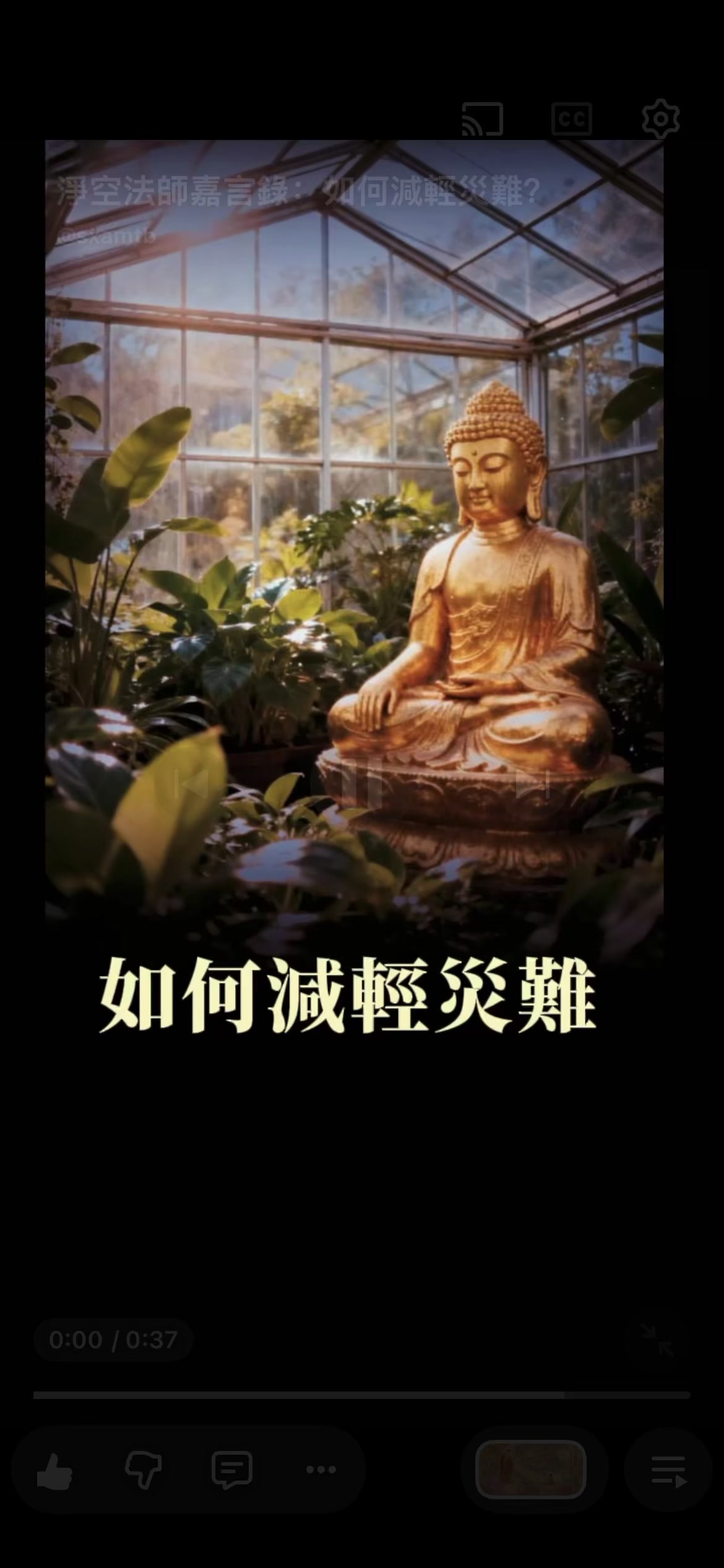 @南無阿彌陀佛🙏🙏🙏