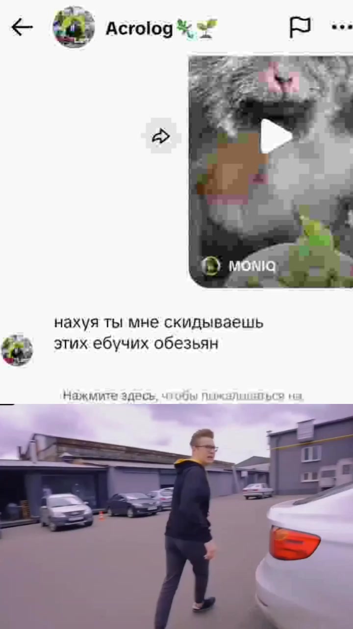 @Acrolog🦎🌱