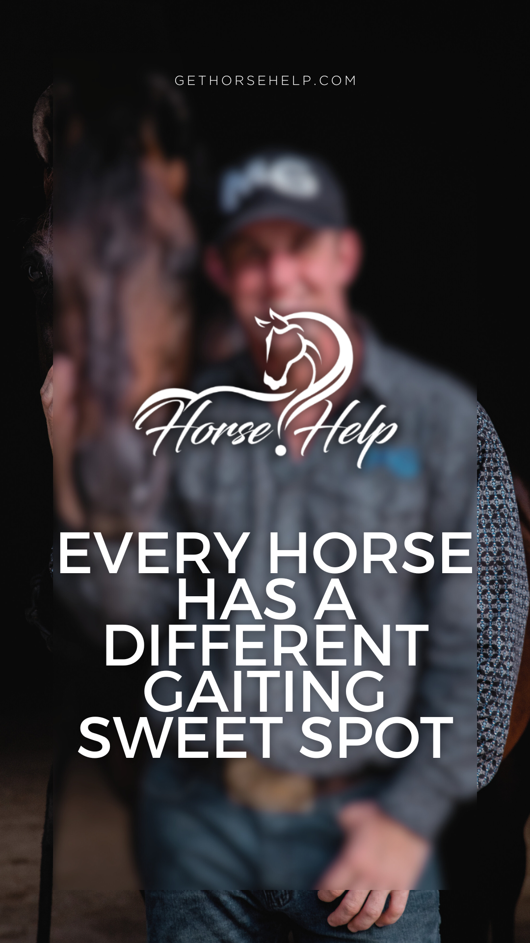@Horse Help
