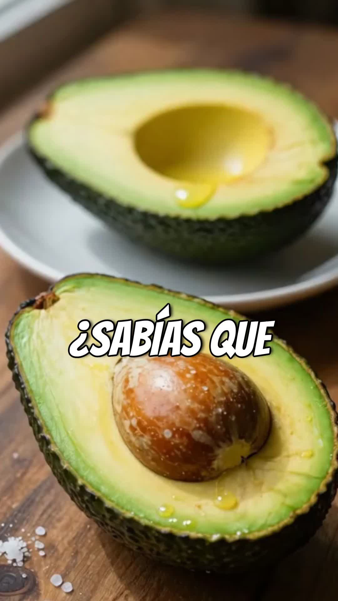 @tour del aguacate