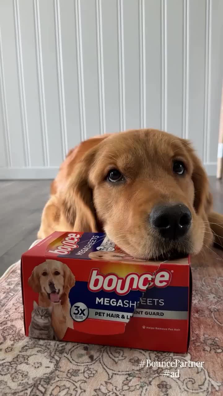 @Bounce