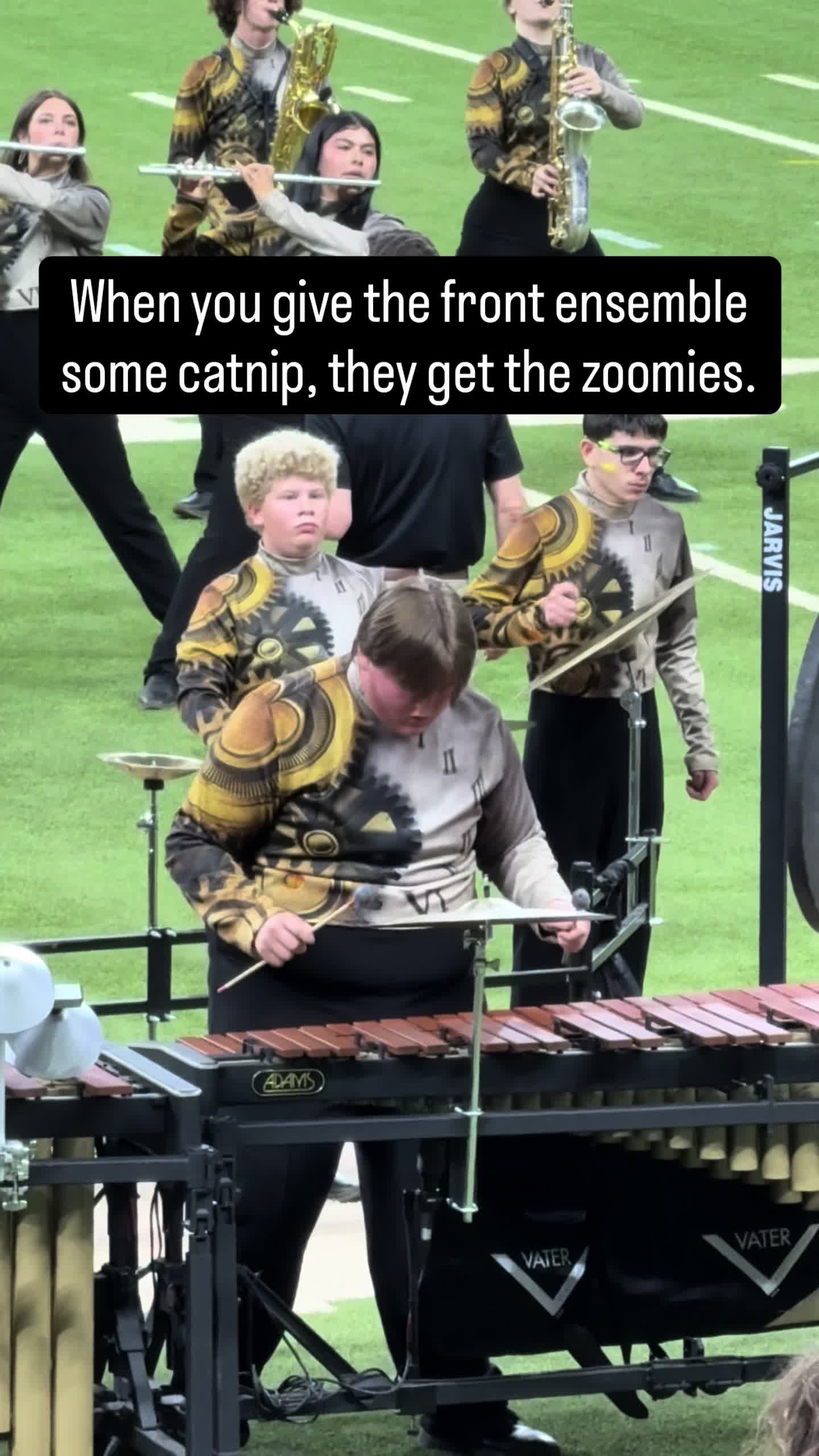 @thebandmom