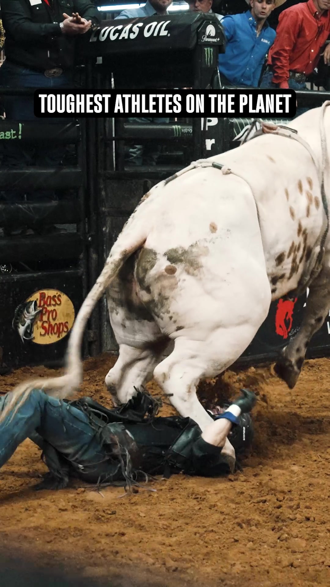 @PBR
