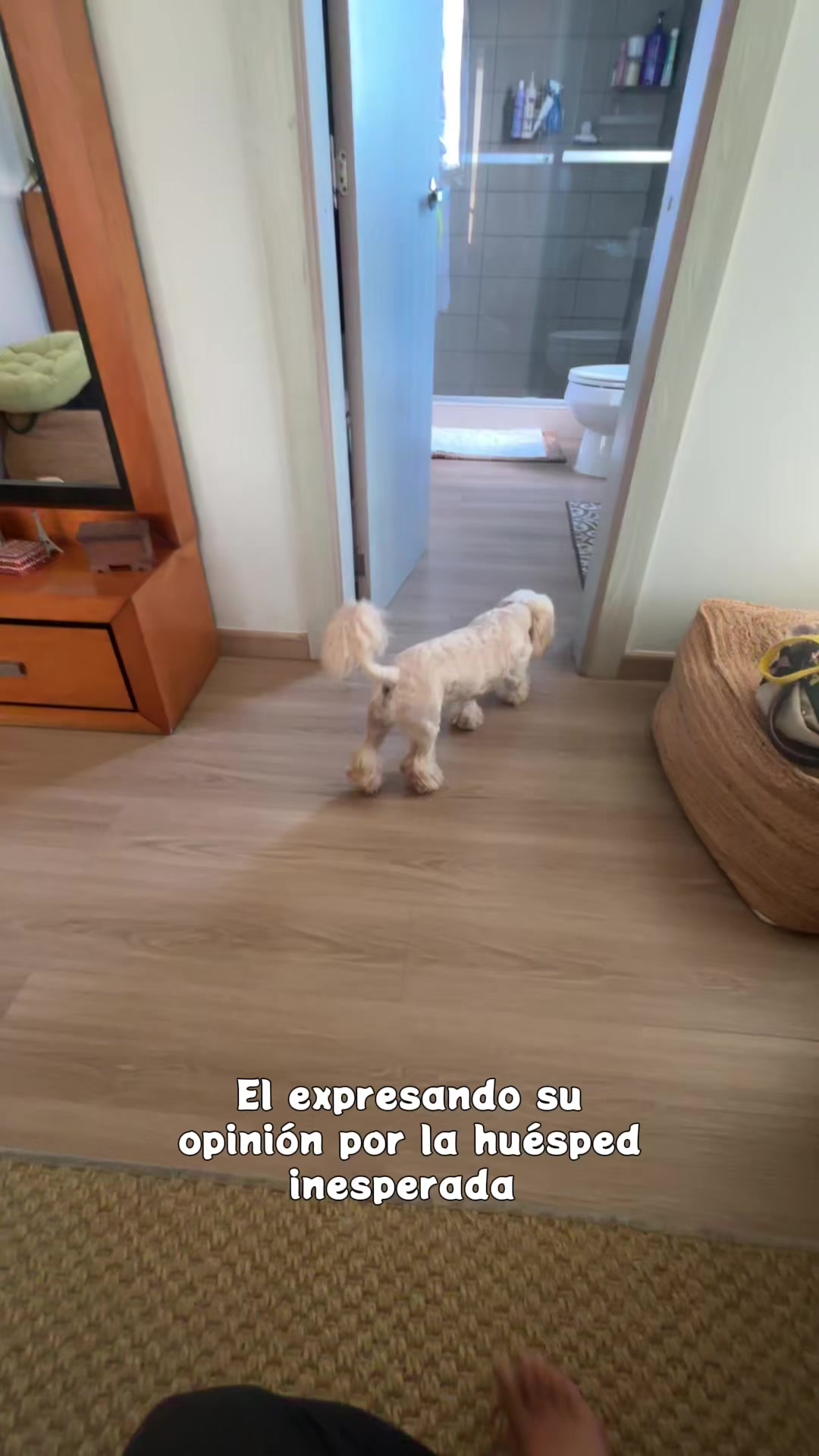 @Beyli