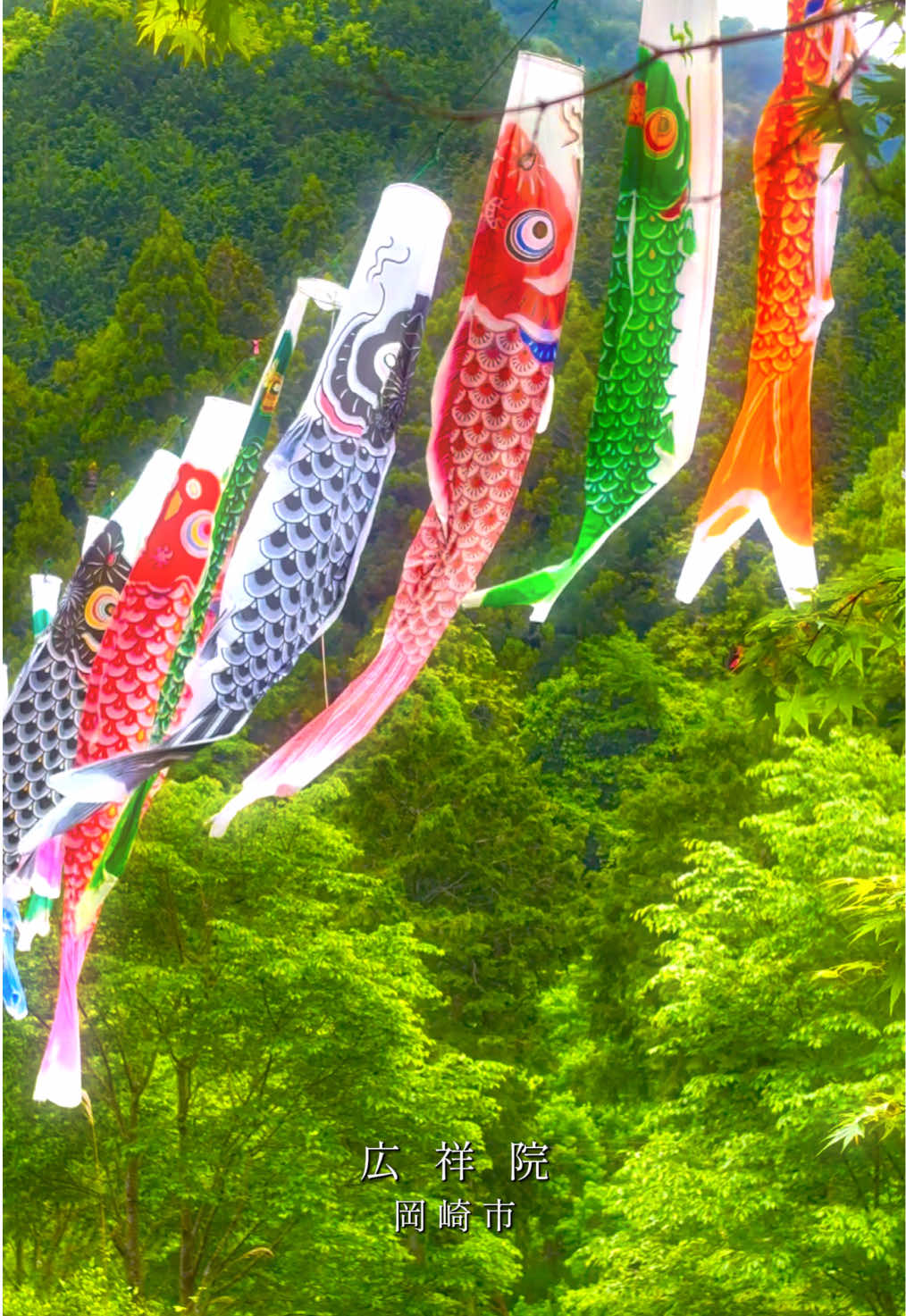 @Aichi_Traveler🎌