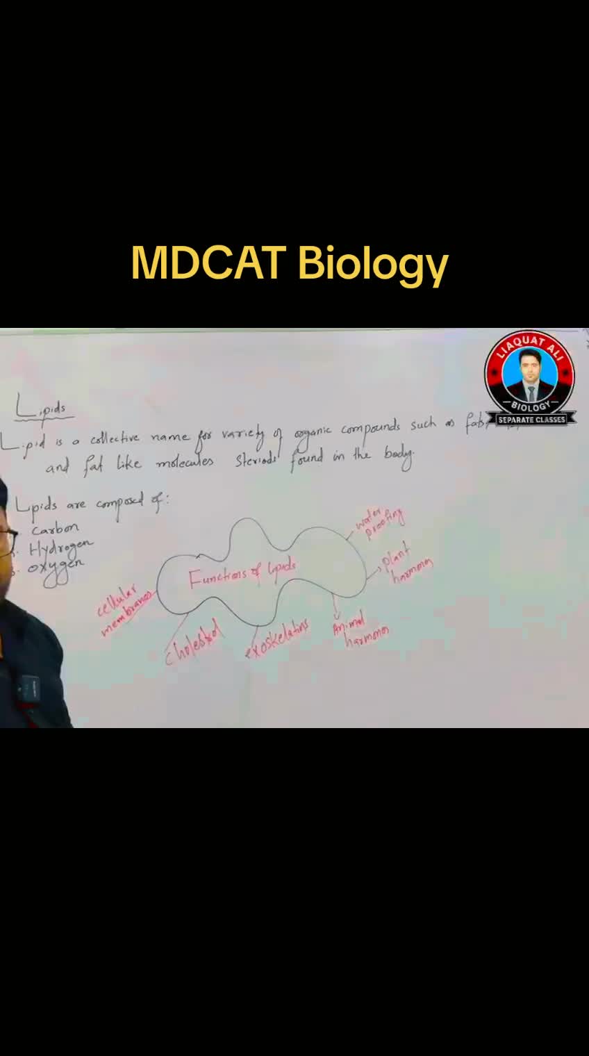 @The Biologist.real.