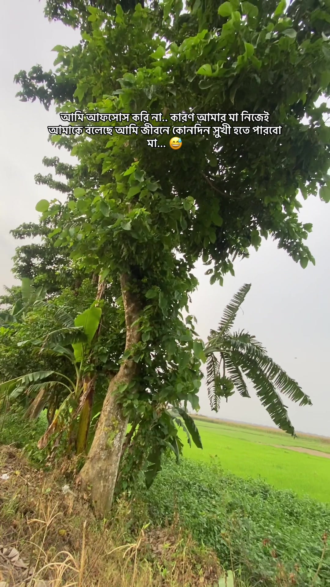@🥀RAIYAN ER AMMU🥀