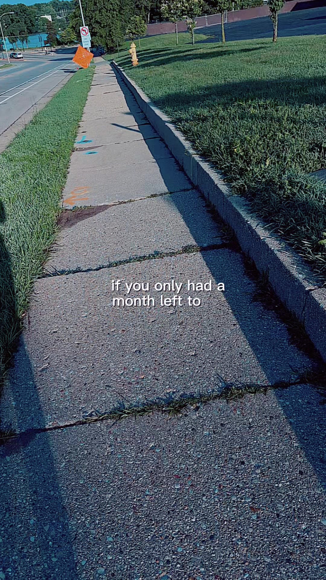 @Gavin Wallman