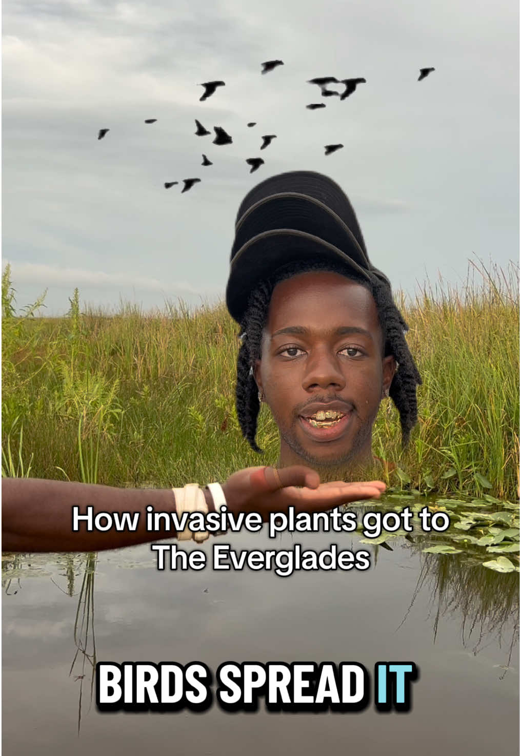 @Jordon