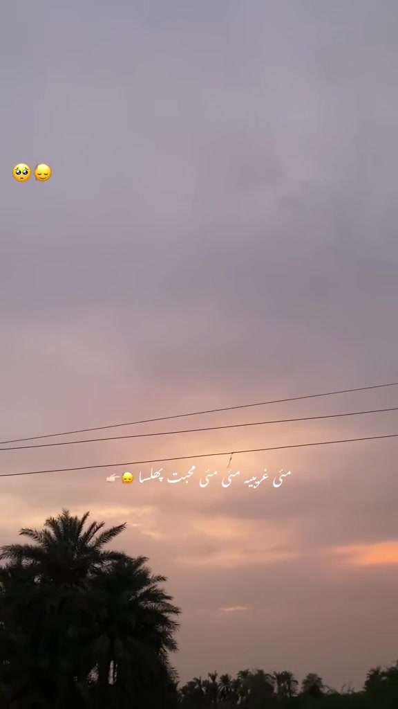 @𝒐𝒚𝒆_Zubii🐺