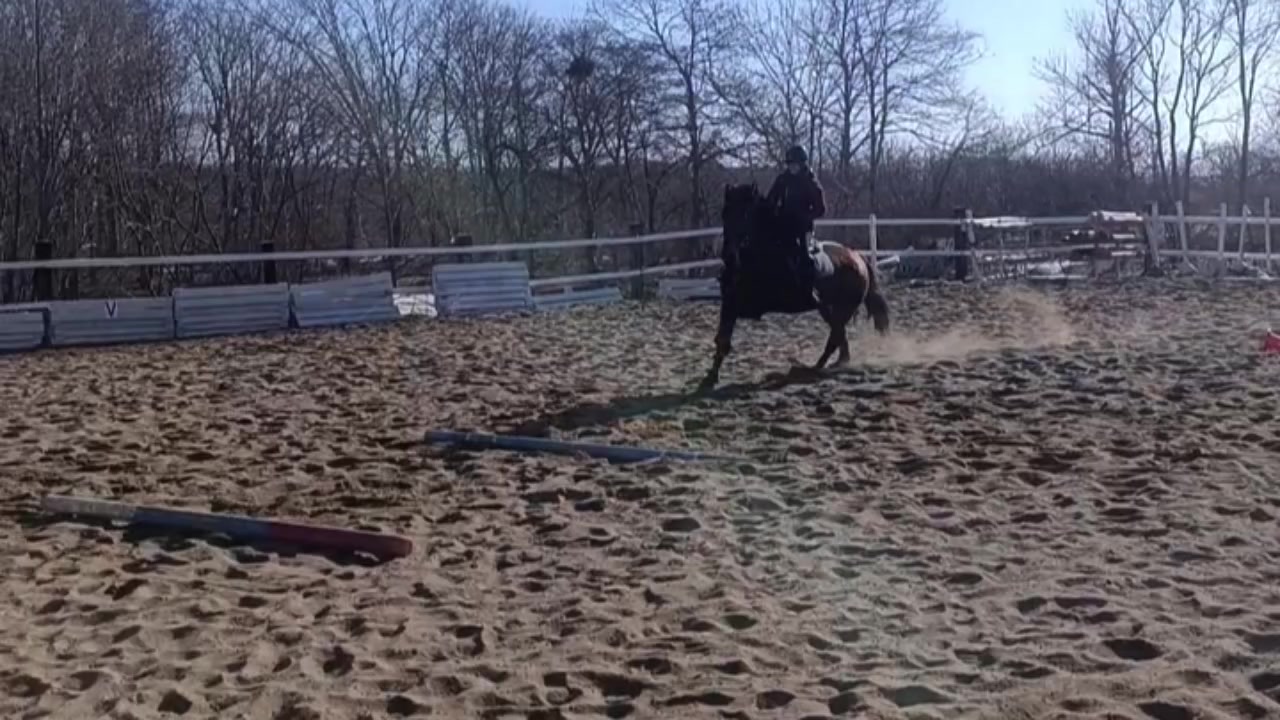 @🐴🤎