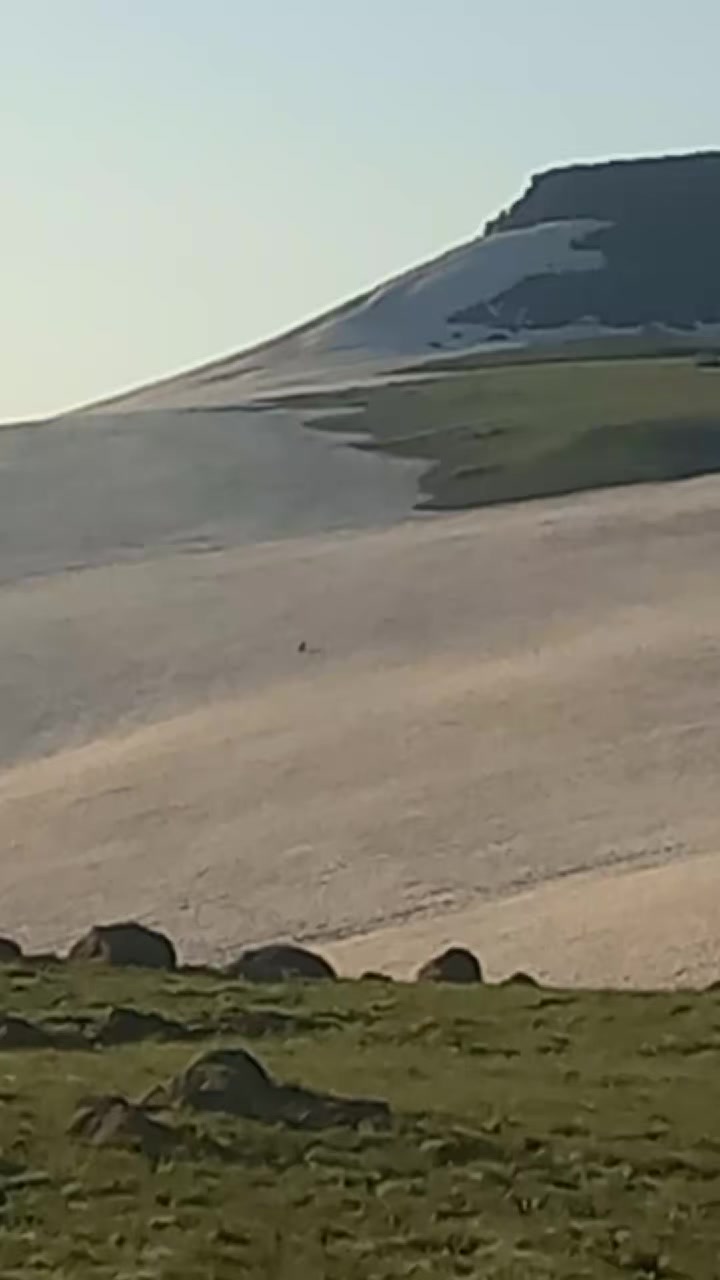 @yılmaz mustafa şen