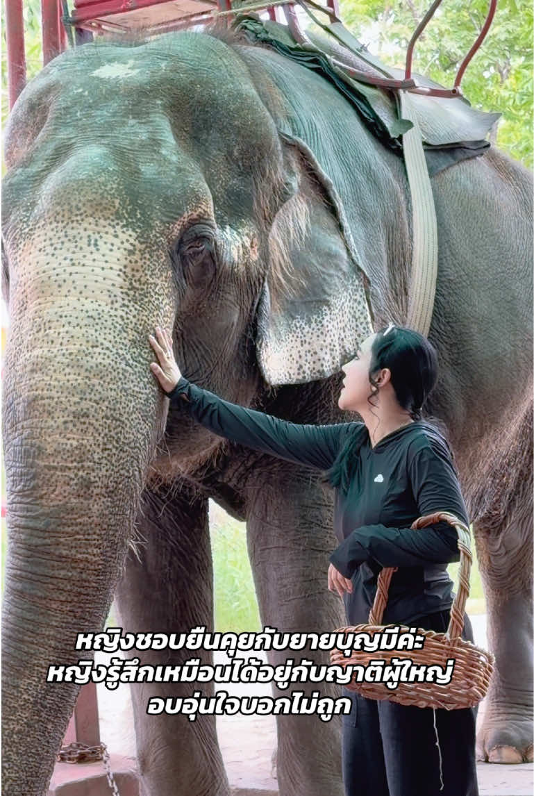 @หญิง ธิติกานต์ Official