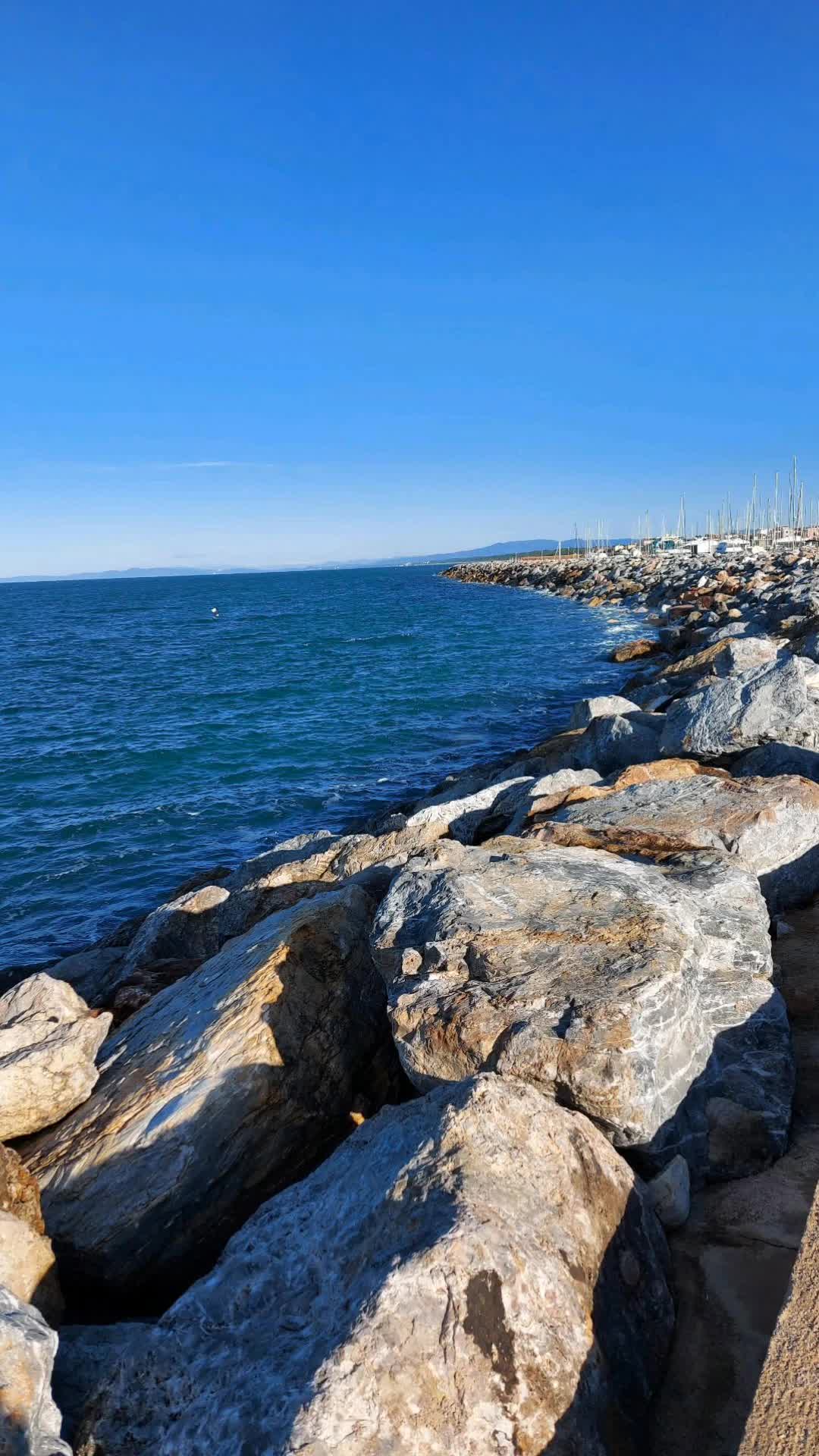 @Mihaela Mihaela