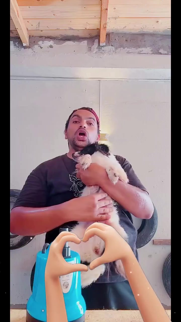 @mohammed and his cats😺