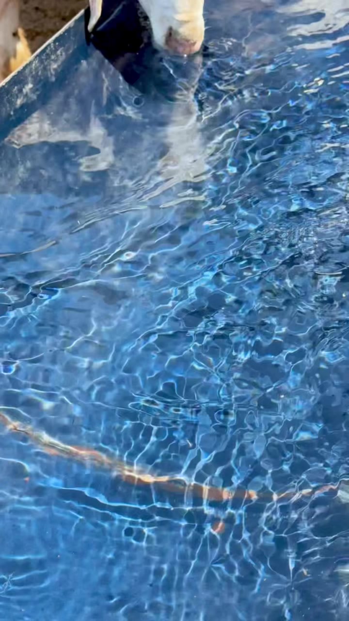 @🇹🇳حافظ🇹🇳