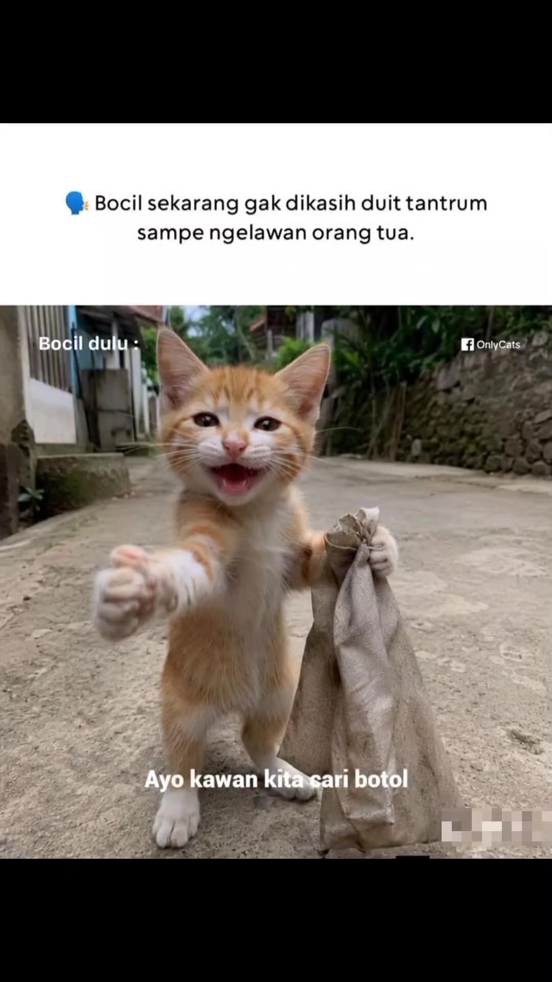 @prasaja antrum