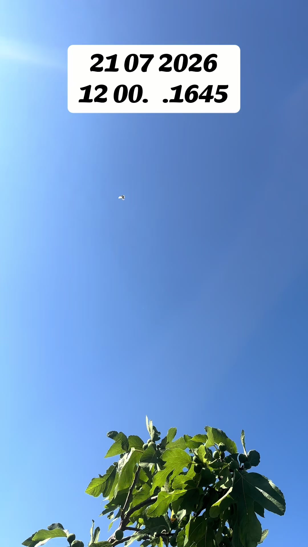 @𝑺𝒖𝒃𝒉𝒂𝒏 𝑪𝒂𝒃𝒃𝒂𝒓𝒐𝒗