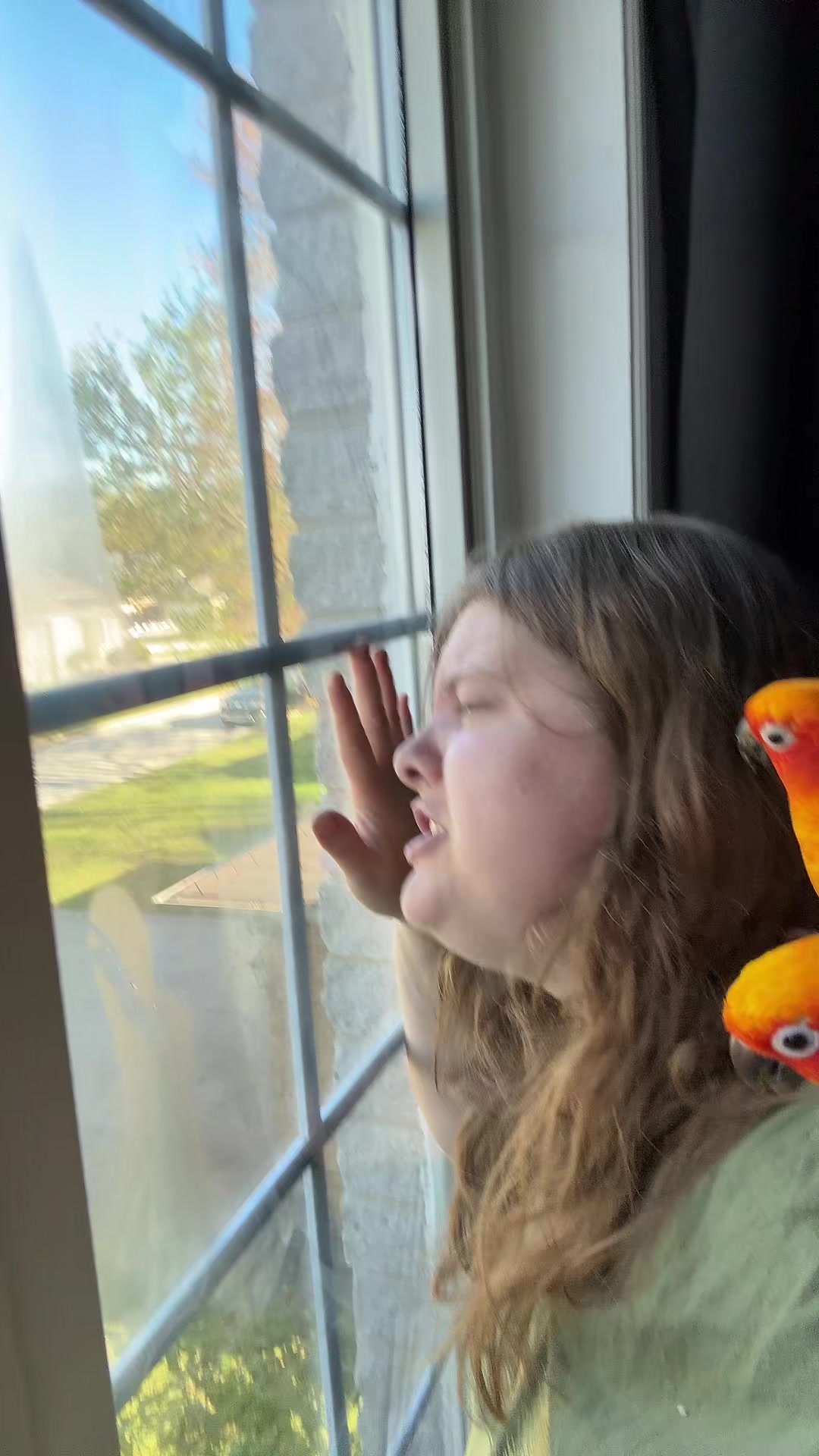 @Bird_Tails