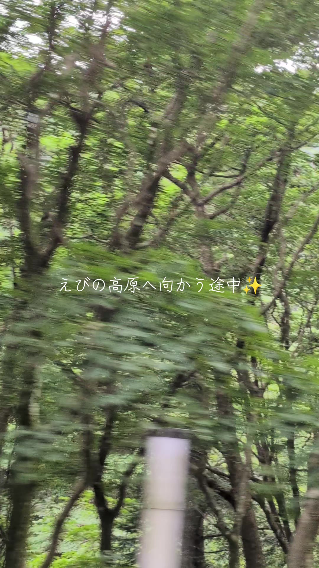 @チルチルみちる