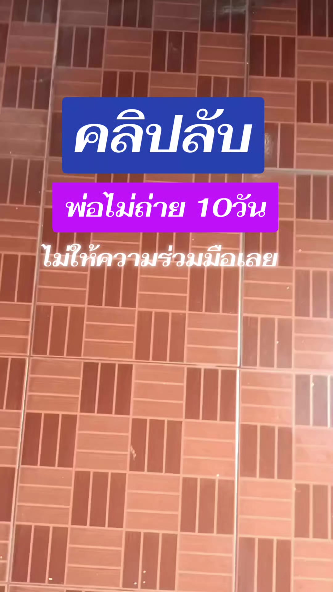 @บ้านกลางสวนลำใย(เชียงใหม่)