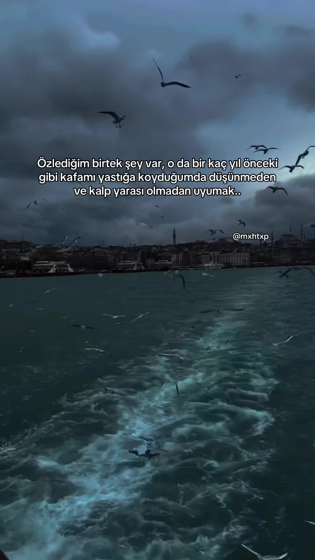 @MehtapTek🇹🇷