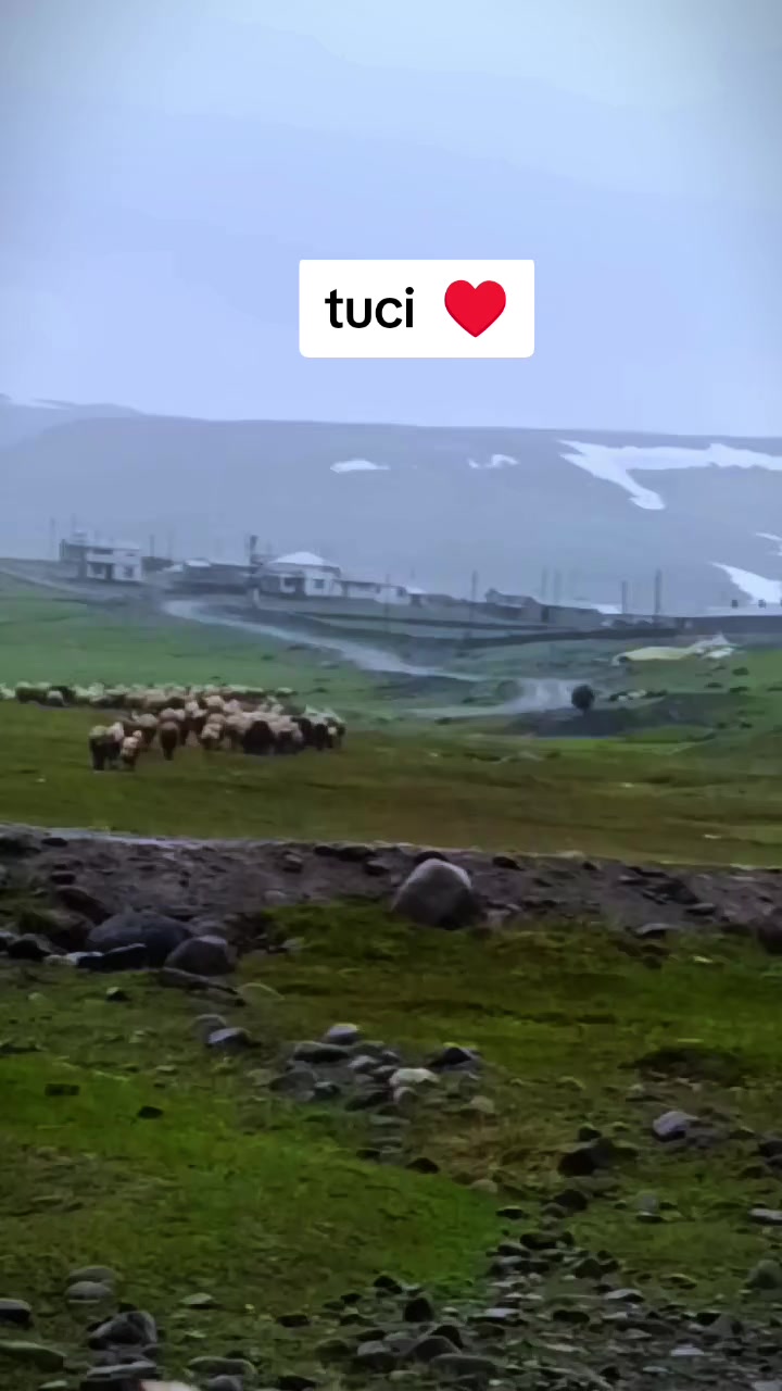 @mervan ay
