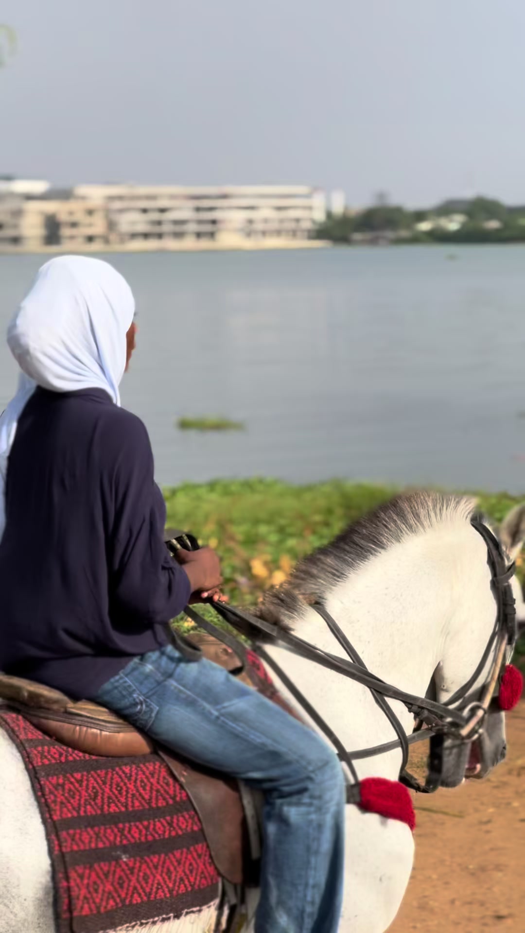 @Abuja horse riders