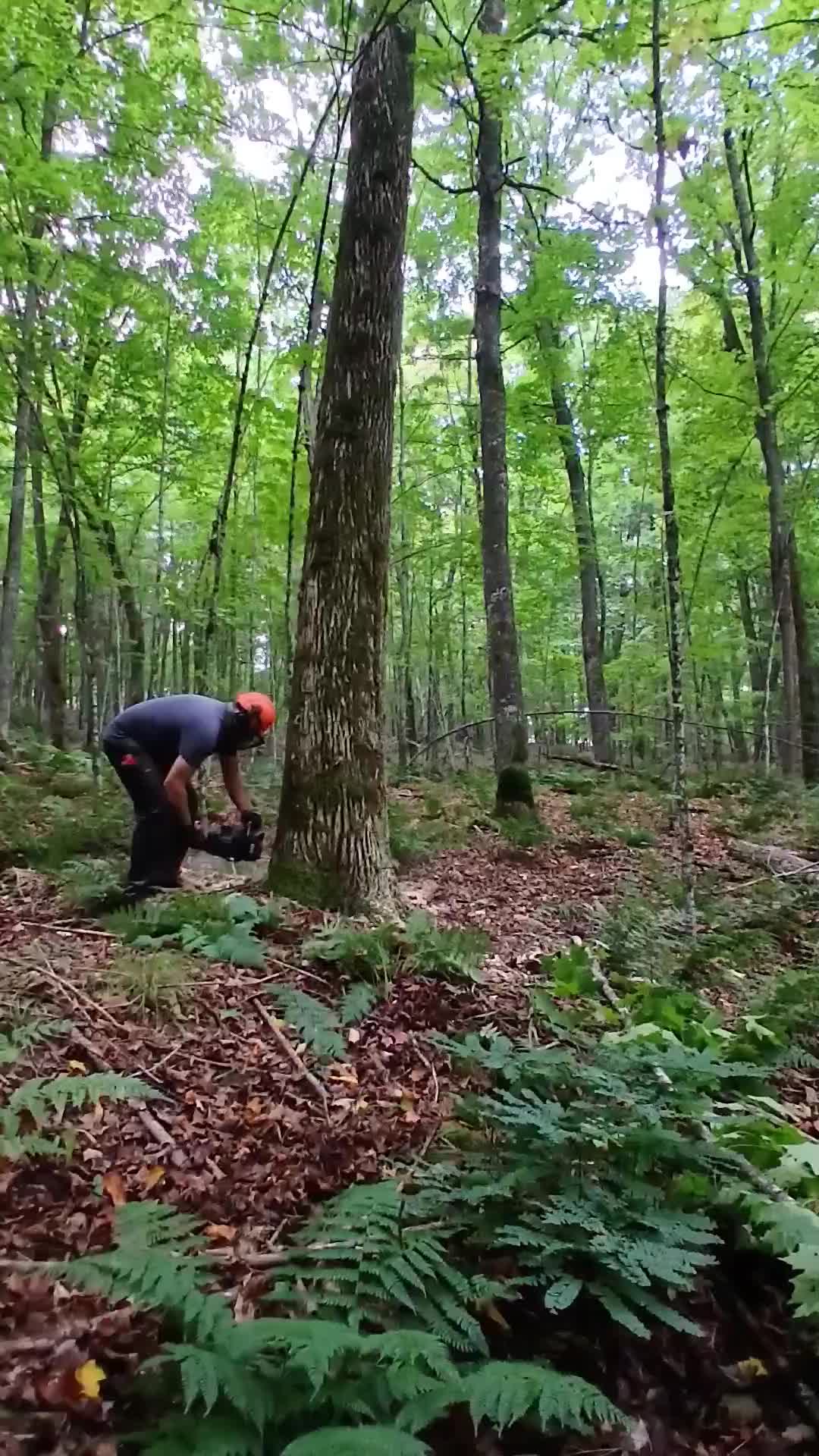 @JoeyLogger