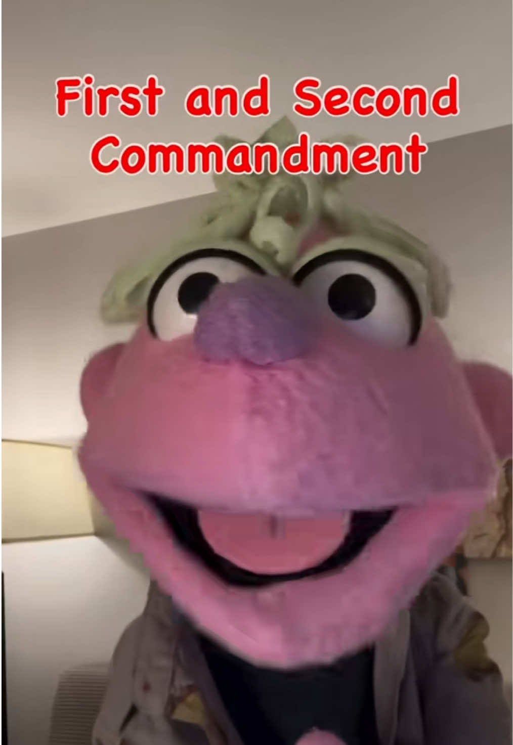 @𝘋𝘪𝘯𝘹 𝘵𝘩𝘦 𝘗𝘶𝘱𝘱𝘦𝘵